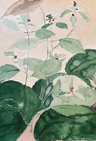 Karl Strebel - Giftzwerg