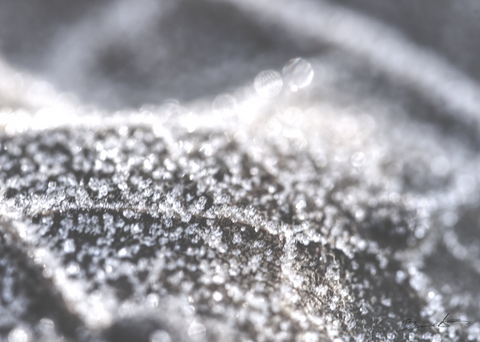 Anika Baumeister - Fragile Nähe