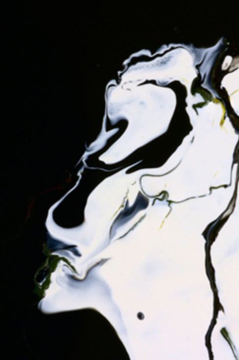 Josef Mayer - Magic Don