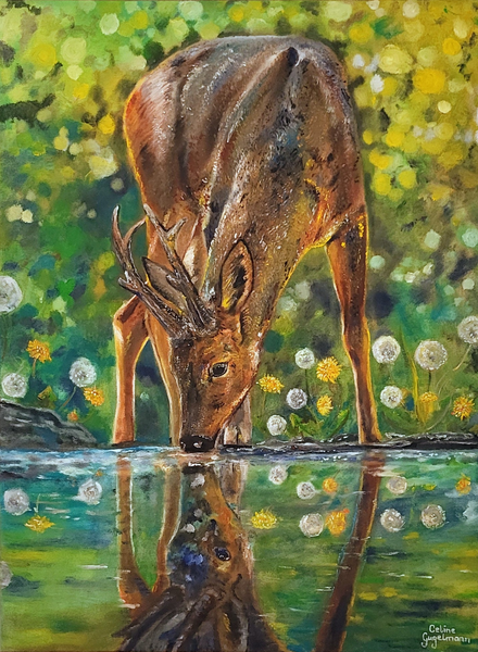 Celine Gugelmann - Waldlichtung