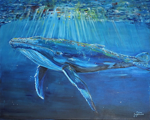 Celine Gugelmann - Blauwal