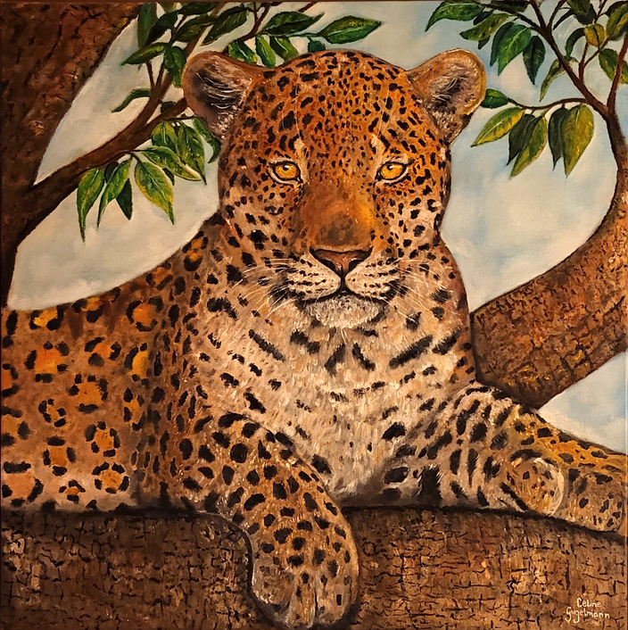 Celine Gugelmann - Schattenplatz