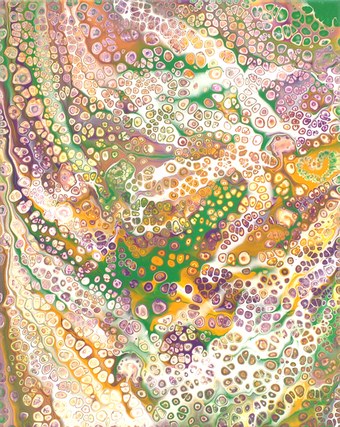 Rewo - Frühlingsbote - Farben des Krokus