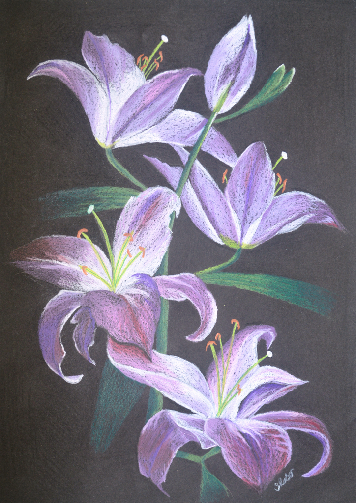 Sylvia Reber - Bright Lilies