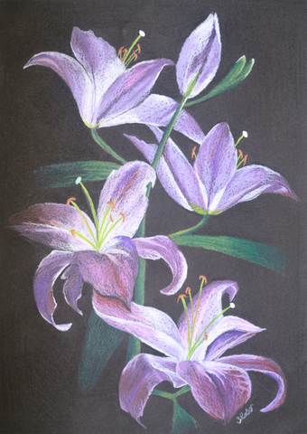 Sylvia Reber - Bright Lilies