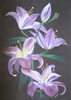 Sylvia Reber - Bright Lilies