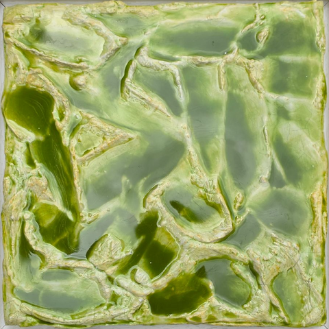Stefan Müllner - Green Planet