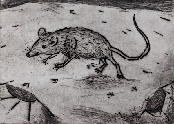 Peter Zeiler - Maus im Schnee