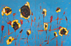 Nikola Nikolic - Sonnenblumen I