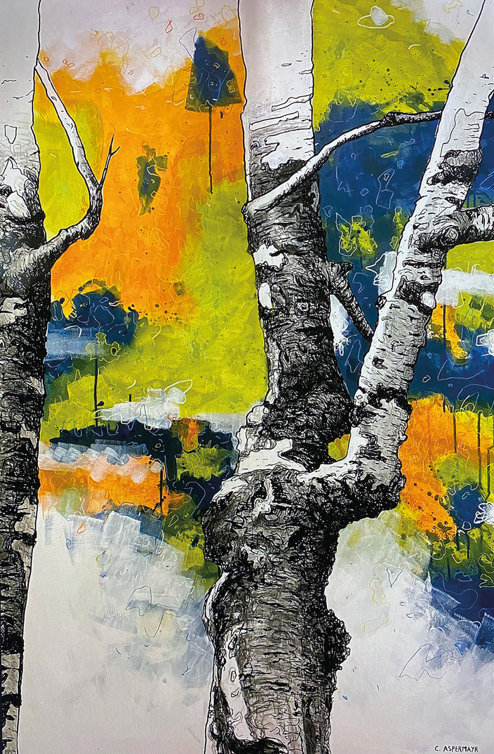 Christian Aspermayr - Birken