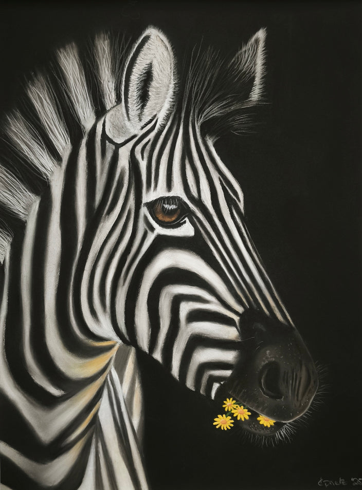 Katrin Prietz - Blossom Stripes