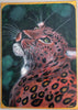 Ekaterina Kedrich - Leopard