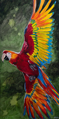 Ekaterina Kedrich - Ara (Psittacidae)