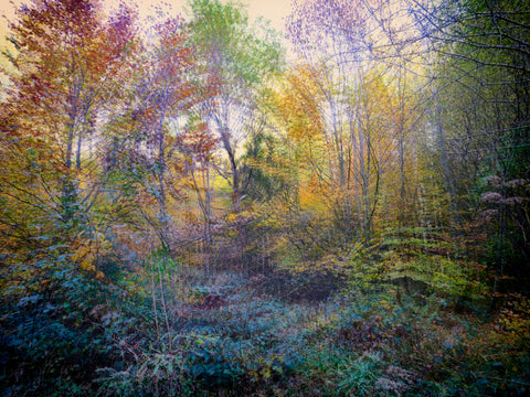 Romy Pfeifer - The World Goes Round