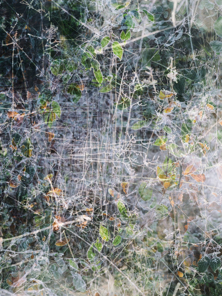 Romy Pfeifer - Touch My Heart