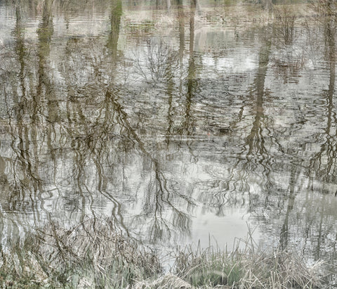 Romy Pfeifer - The Pond