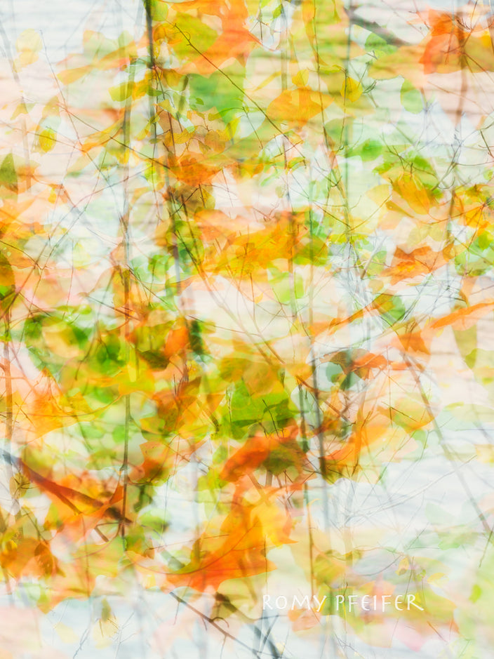 Romy Pfeifer - Autumn Colours