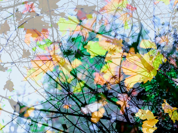 Romy Pfeifer - Reflection