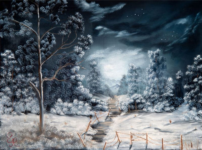 Edwin Heider - Der Weg durch den Schnee