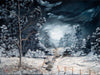 Edwin Heider - Der Weg durch den Schnee