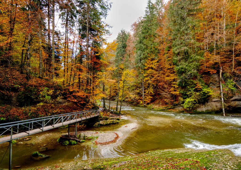 Anika Baumeister - Die Wutachschlucht im Herbst