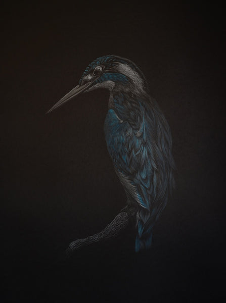 Bernhard Meixner - Eisvogel