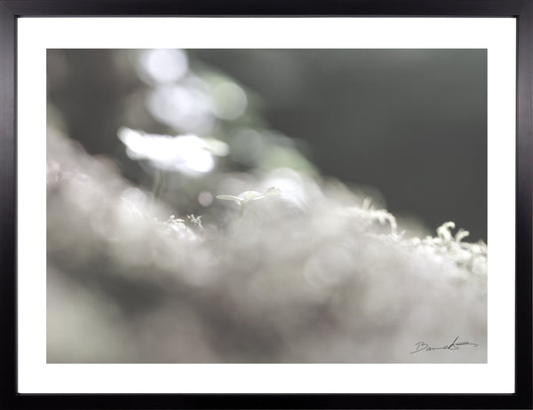 Anika Baumeister - Unschärfe 1