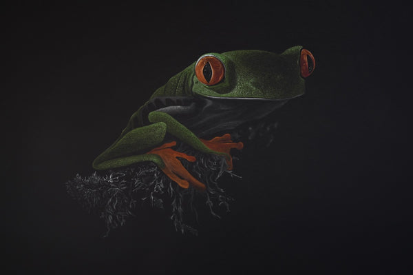 Bernhard Meixner - Frosch