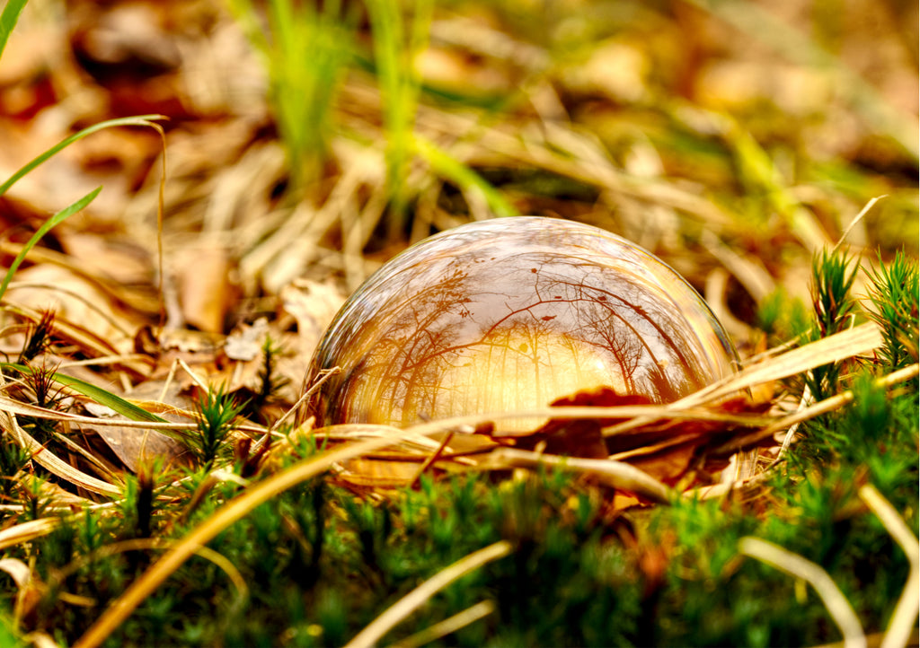Anika Baumeister - Glaskugel Fotografie im herbstlichen Waldboden