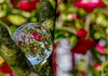 Anika Baumeister - Glaskugelfotografie von Kirschblüten