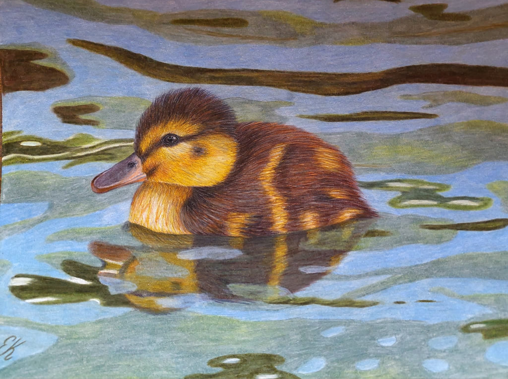 Elena Königseder - Ente