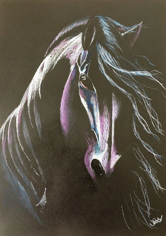 Sylvia Reber - Black Horse