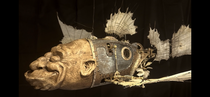 David Fuhrer - Flying fish