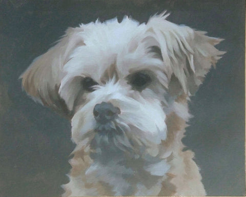 Joachim Hoffmann - Frecher Blick