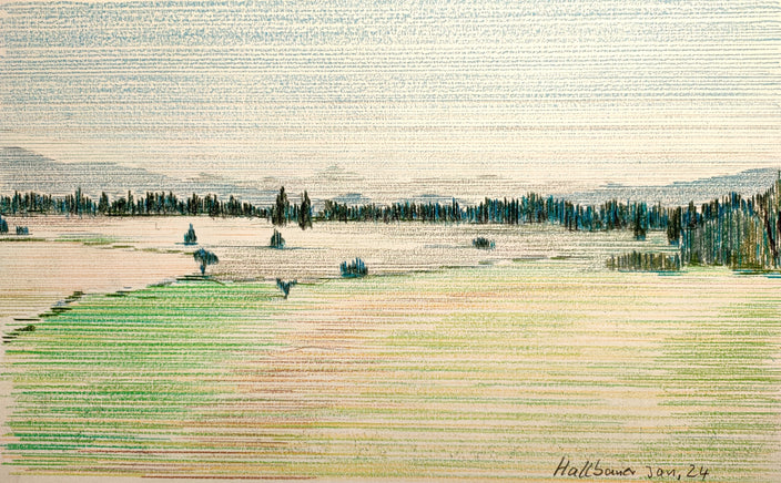 Bernd Hallbauer - Wald und Wiese