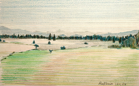 Bernd Hallbauer - Wald und Wiese