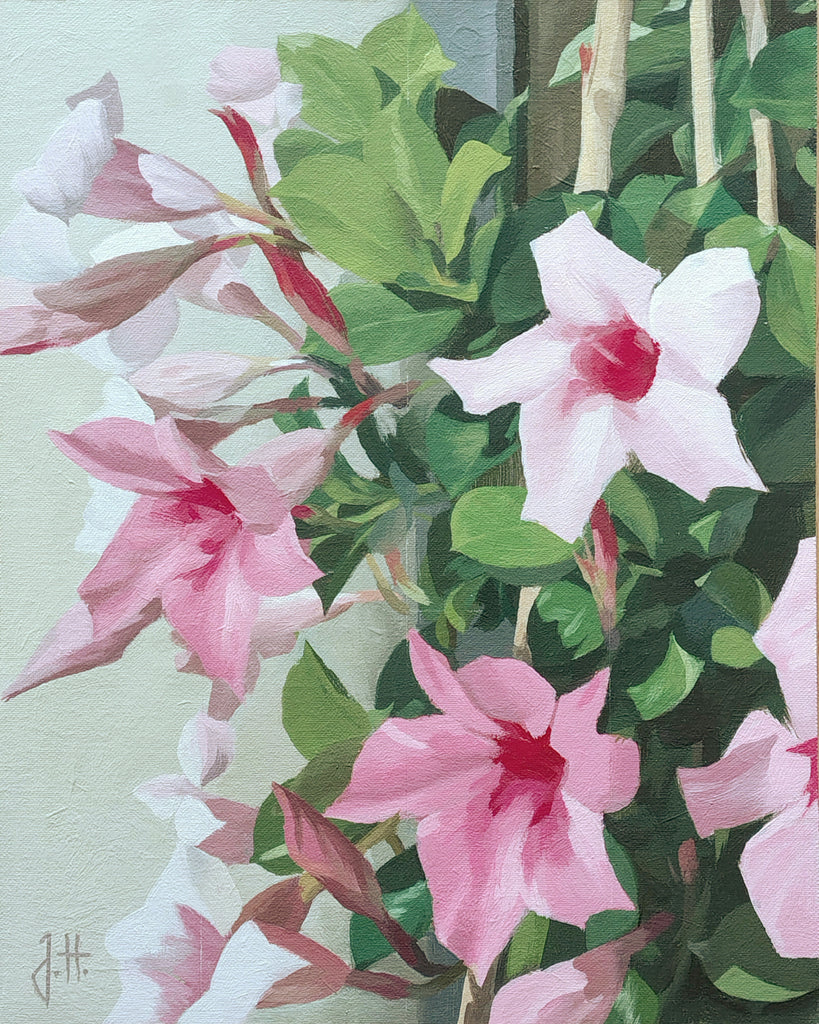 Joachim Hoffmann - Mandevilla