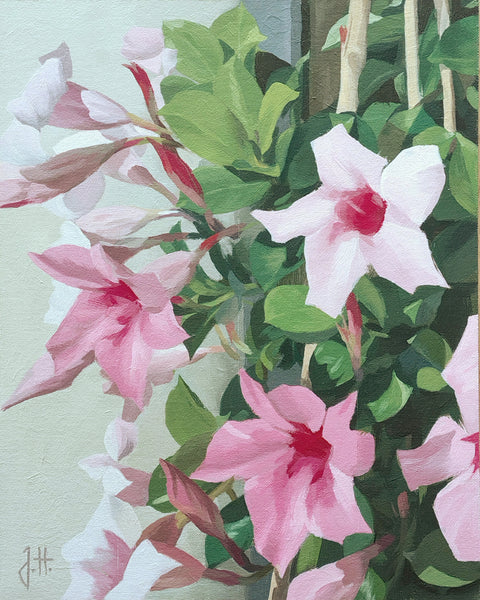 Joachim Hoffmann - Mandevilla