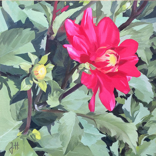 Joachim Hoffmann - Dahlien