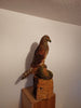 Benjamin Tonner - Schlangenadler