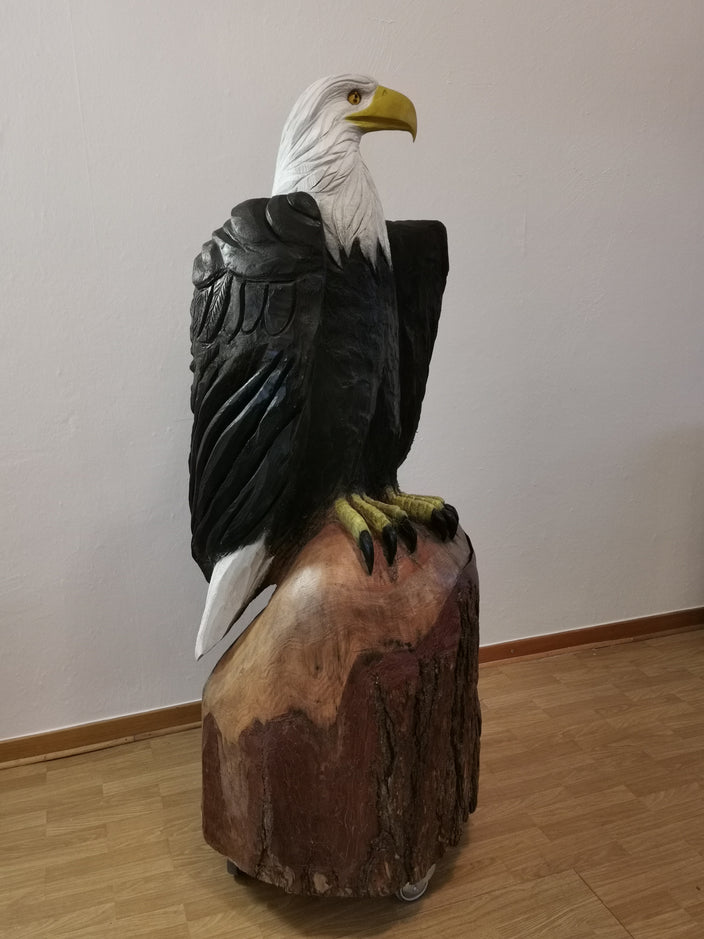 Benjamin Tonner - Weißkopfseeadler