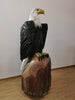 Benjamin Tonner - Weißkopfseeadler