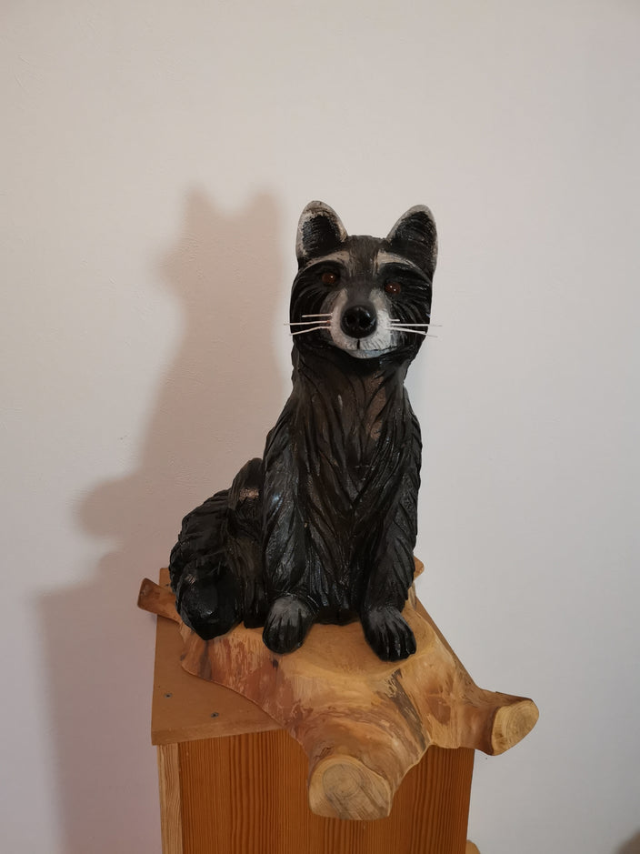 Benjamin Tonner - Waschbär