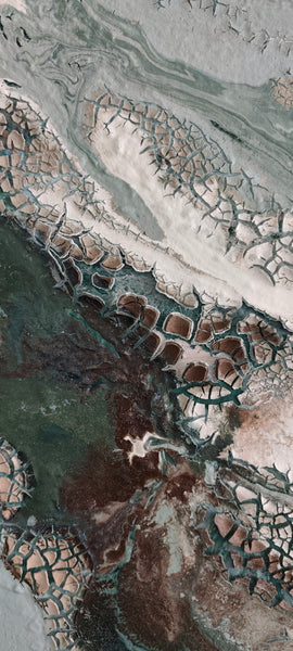 Andrea Pölzl - Atacama