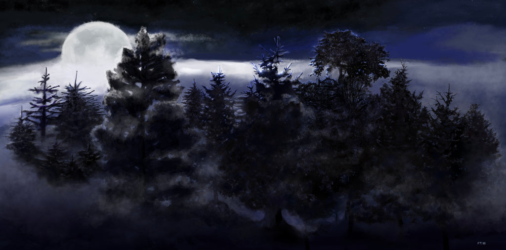 Vanessa Teuscher - Mystischer Wald