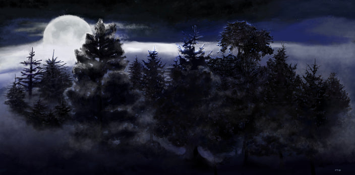 Vanessa Teuscher - Mystischer Wald