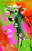 Vanessa Teuscher - Neonkind der Wiese