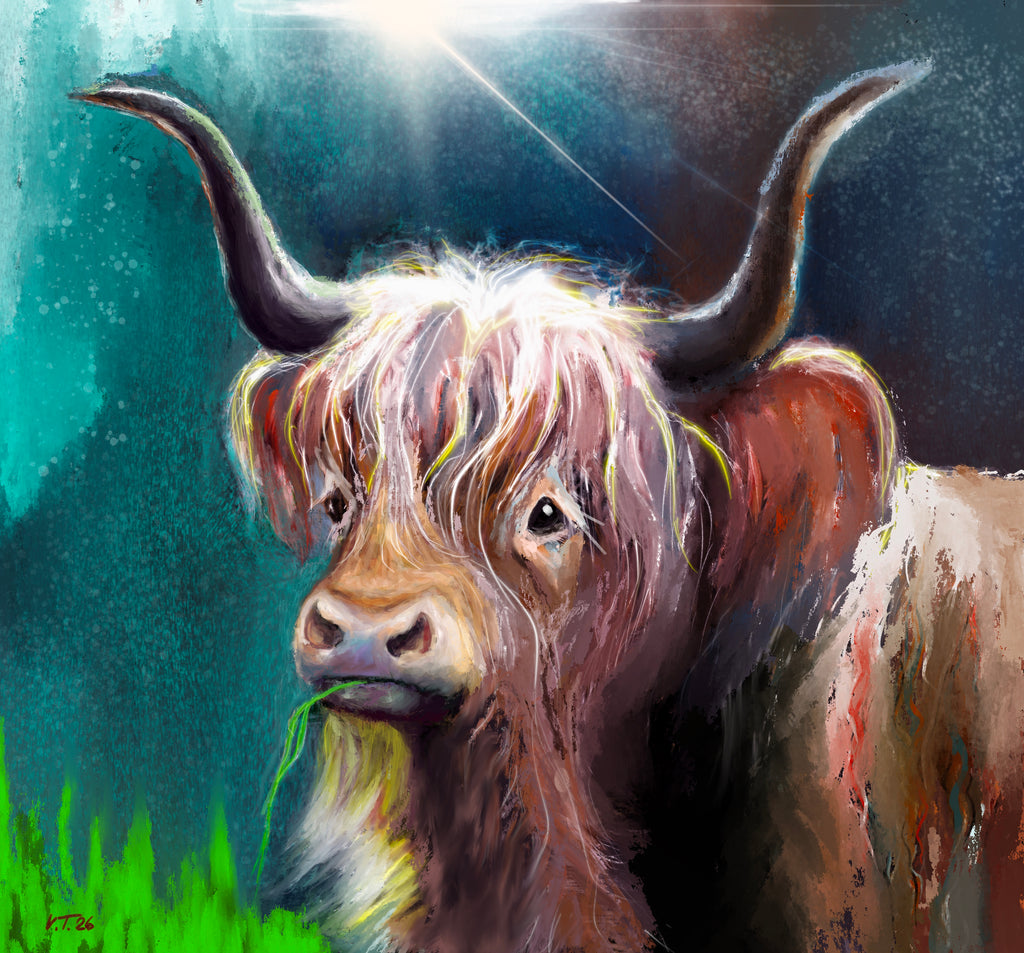 Vanessa Teuscher - Hochlandrind Angus