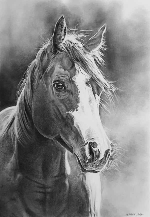 <div style='display:none;'>'</div>KUNST-ONLINE Club