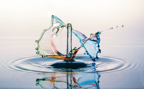 Franz Schickhuber - Flügelschlag